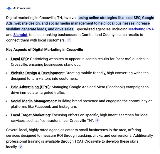 AI overview example of web design and digital marketing in crossville tn showing marketing rna result